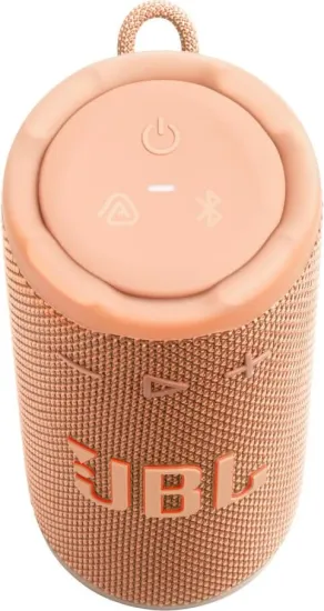 Портативная акустика JBL Grip Orange