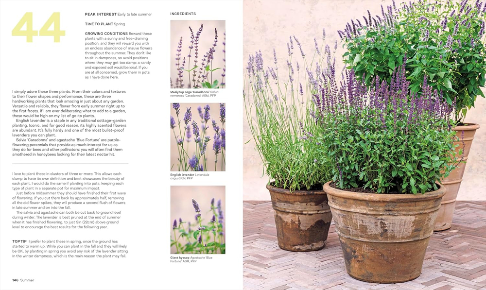 What Grows Together: Fail-Safe Plant Combinations for Every Garden