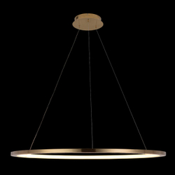 10014XL Подвесной светильник LOFT IT Ring