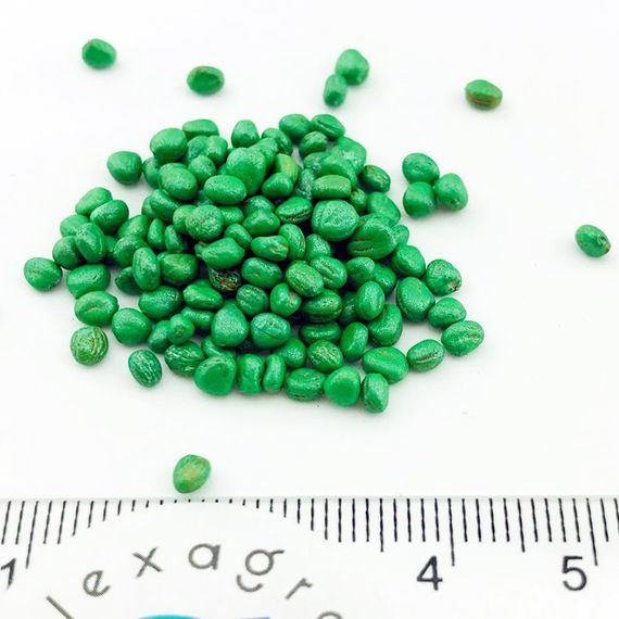 РЕГГЕ семена редиса Bejo цена