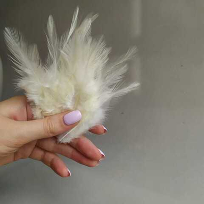 Перья петуха лимонные 2 сорт 20 шт.