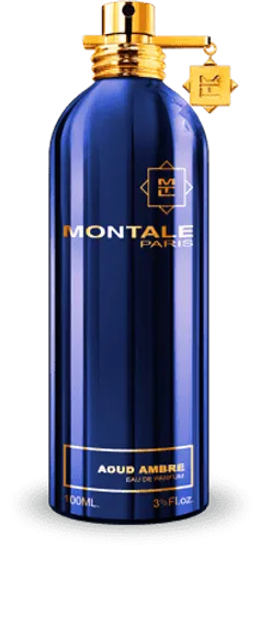Montale Aoud Ambre