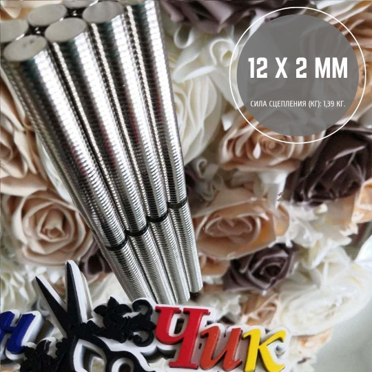 Неодимовый магнит 12х2 мм (набор 10 шт)