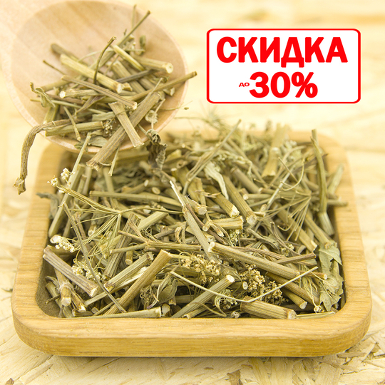 Бедренец (камнеломка)