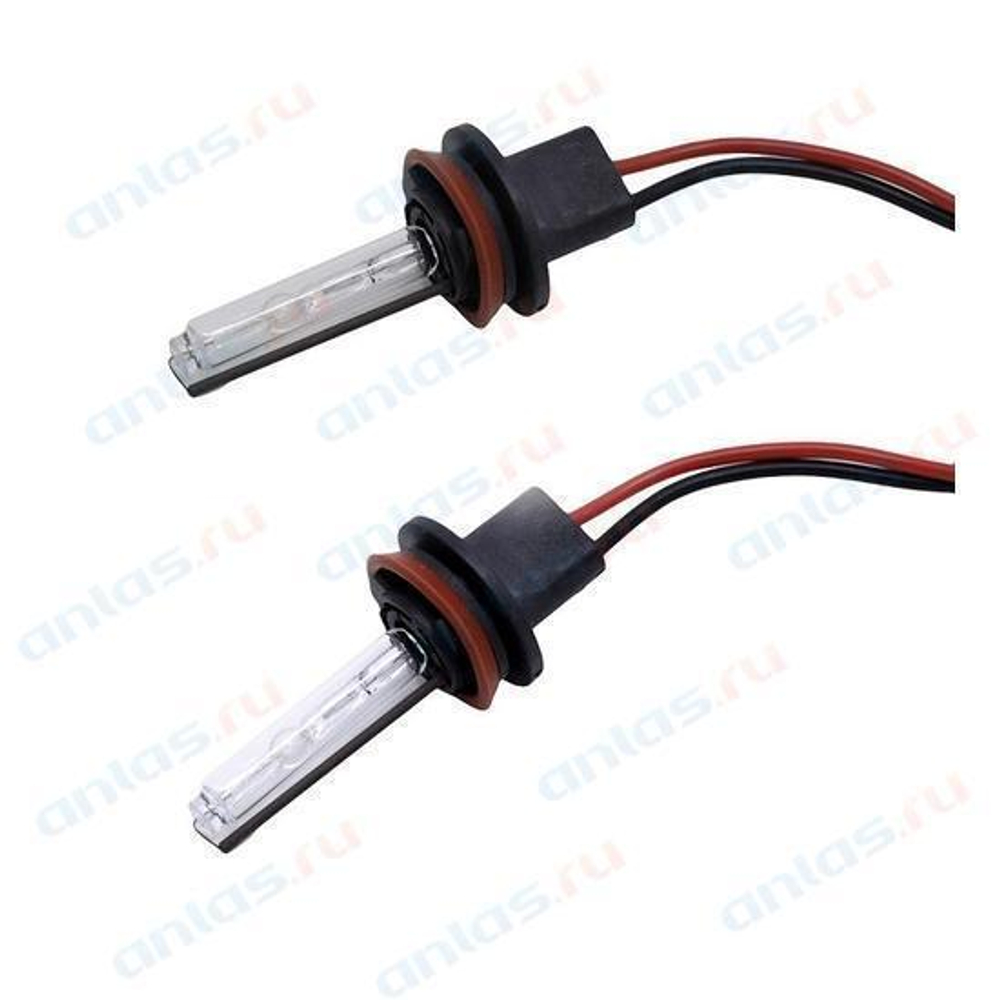 Лампа H11 4300K ксеноновый свет 2 шт. AVS