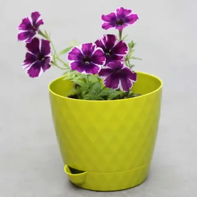 Горшок для цветов пластиковый 1,5л d-14см «Румба» с поддоном киви
