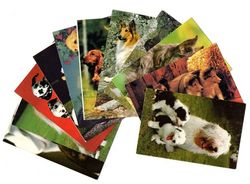 Печатная продукция, документы и фотографии