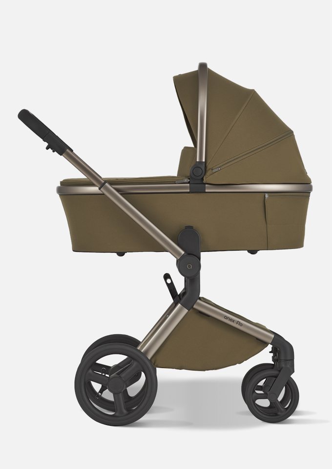 Anex Детская коляска Flo 2 в 1 Astra