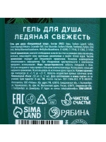 Гель для душа Man energy, 250 мл, аромат свежести, Чистое сч