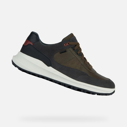 GEOX / Кроссовки