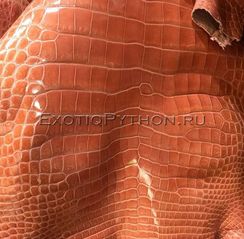 Кожа крокодила SK-41