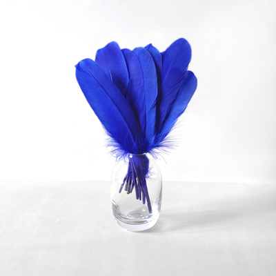 Гусиные перья синие ровные 20шт.