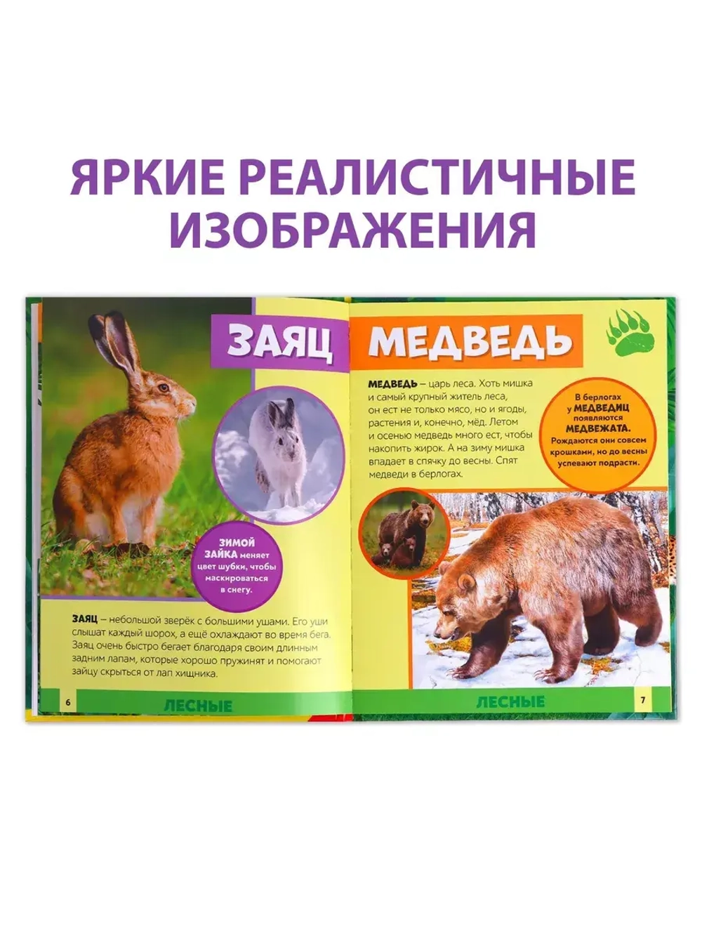 Энциклопедия В мире животных