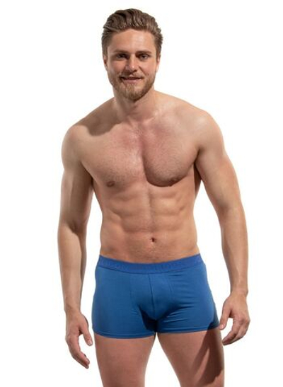 Мужские трусы-боксеры из модала (Размер: L) (Цвет: синий)