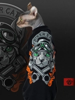 Одежда для кошек сфинкс