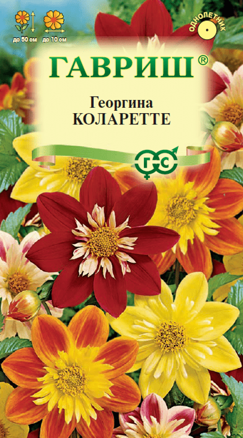 Георгина Коларетте 0,2г Гавриш