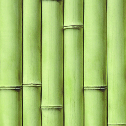 Панель ПВХ ВЕК фотопечать 3D матовая Бамбук оливковый 2700х250 мм