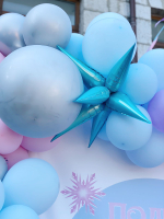 Летняя Frozen Party