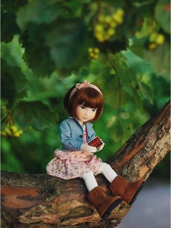 Кукла Ruby Red Дара 31см (2202)