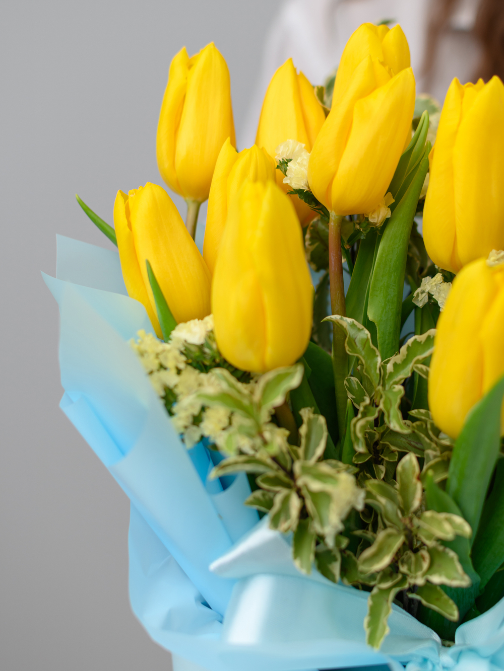 Немного солнца в холодной воде