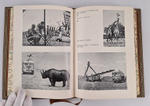 "Серенгети не должен умереть. В поисках фресок Тассилии". Бернгард и Михаэль Гржимек, Анри Лот - подарочное издание
