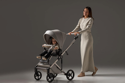 Детская коляска Anex Eli 2 в 1 без рюкзака Santal El-06