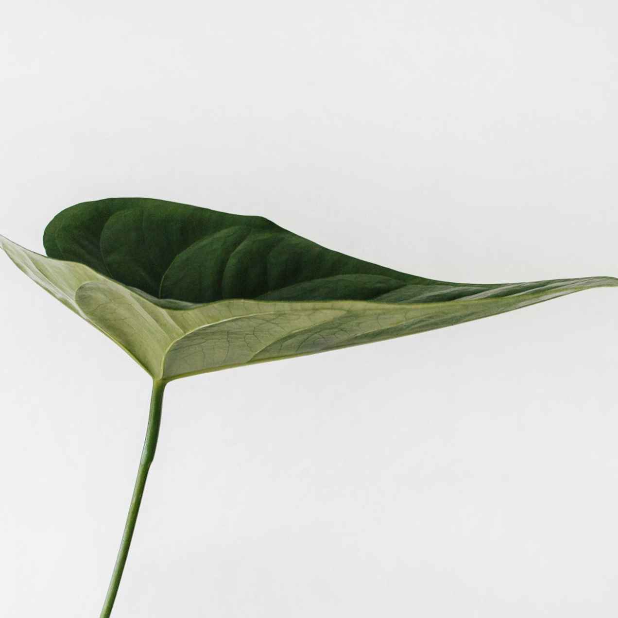 Преобразите свою красоту