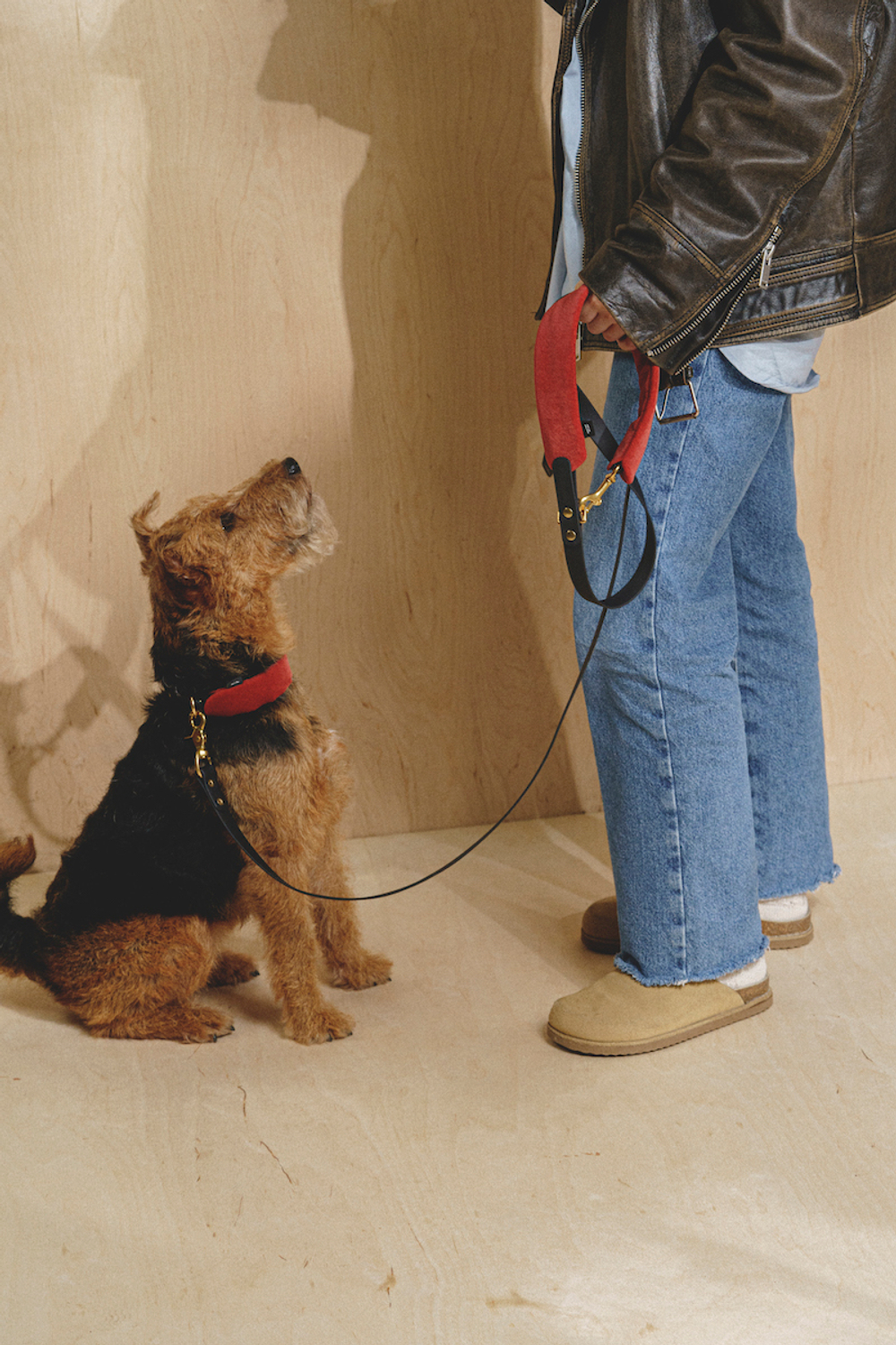 Ошейник "Пони-маскарпони" терракот