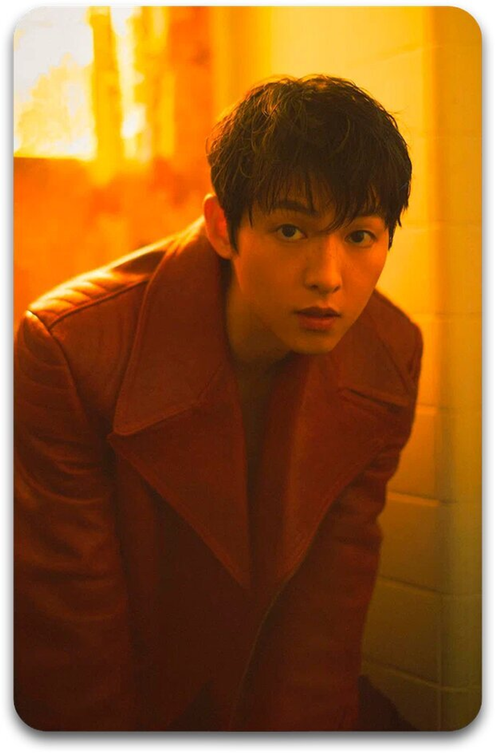 Карта #1971 / Song Joongki