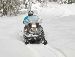 Снегоход STELS ЕРМАК SE800T L LUX 2LT CVTech