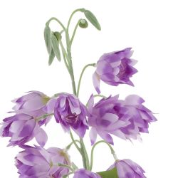 GAEM Цветок искусственный, L15 W15 H83 см