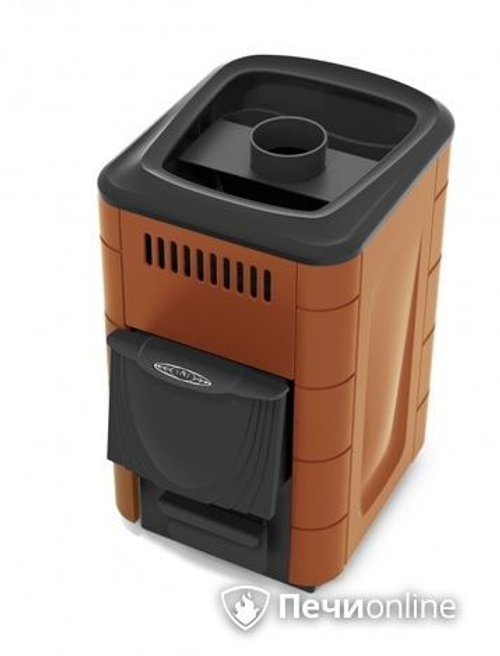 Дровяная печь-каменка TMF Компакт 2017 Inox ДА КТК терракота