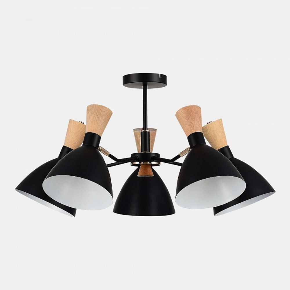 Люстра на штанге EVOLUCE VISTA SLE1256-402-05