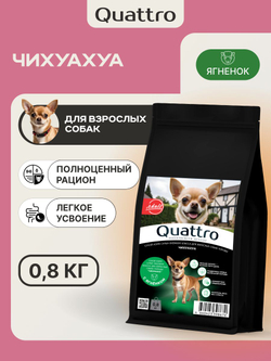 Корм сухой для взрослых собак породы Чихуахуа, с ягненком, 800 гр, QUATTRO