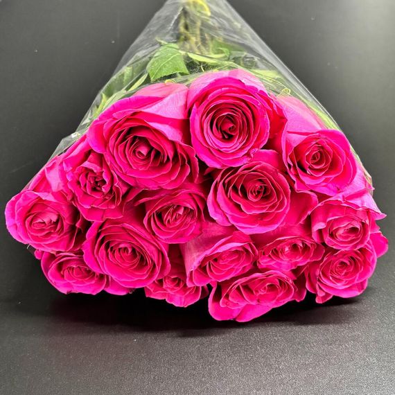 розы Pink Floyd Tecca