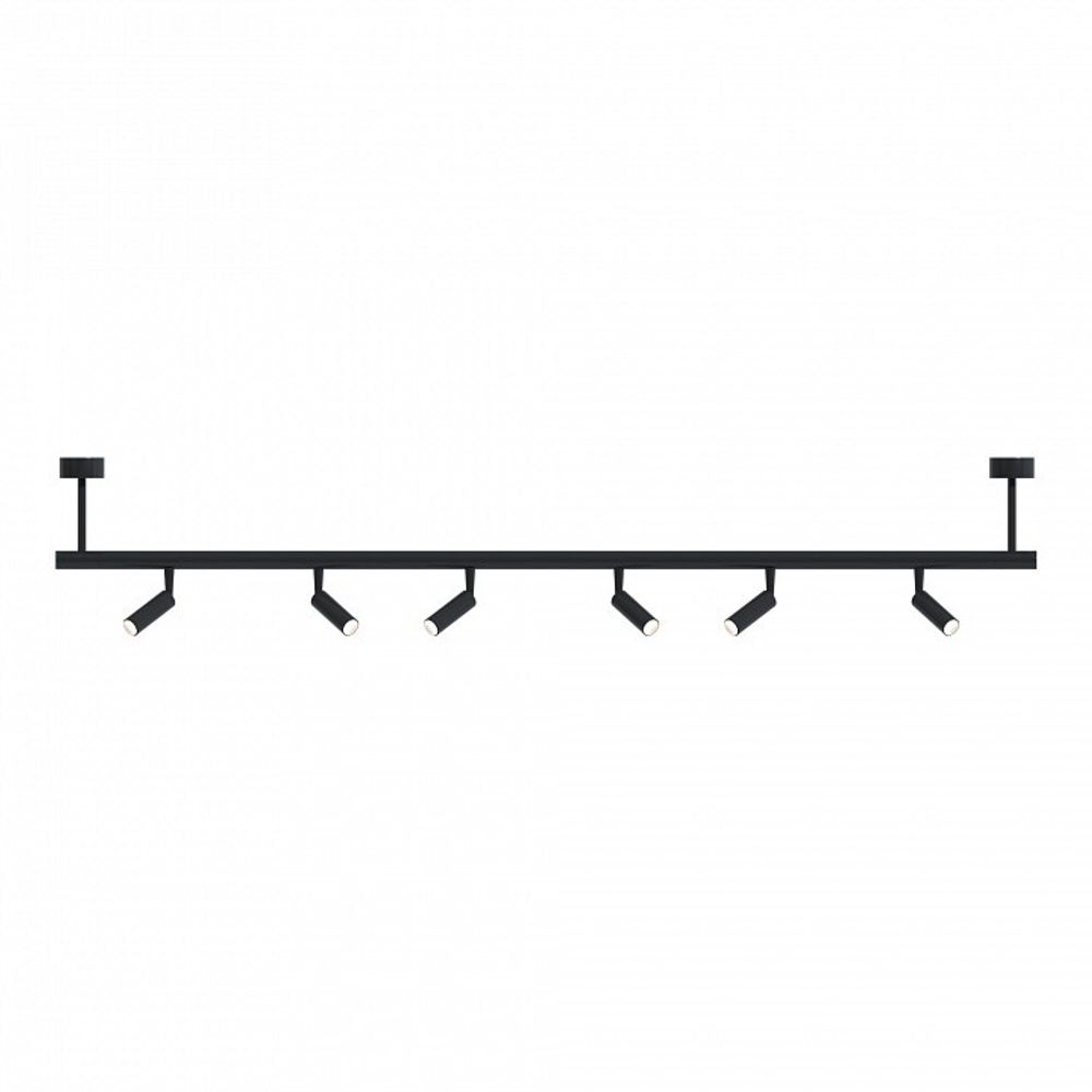 Светильник на штанге ST-Luce TECHNO ST1652.447.24