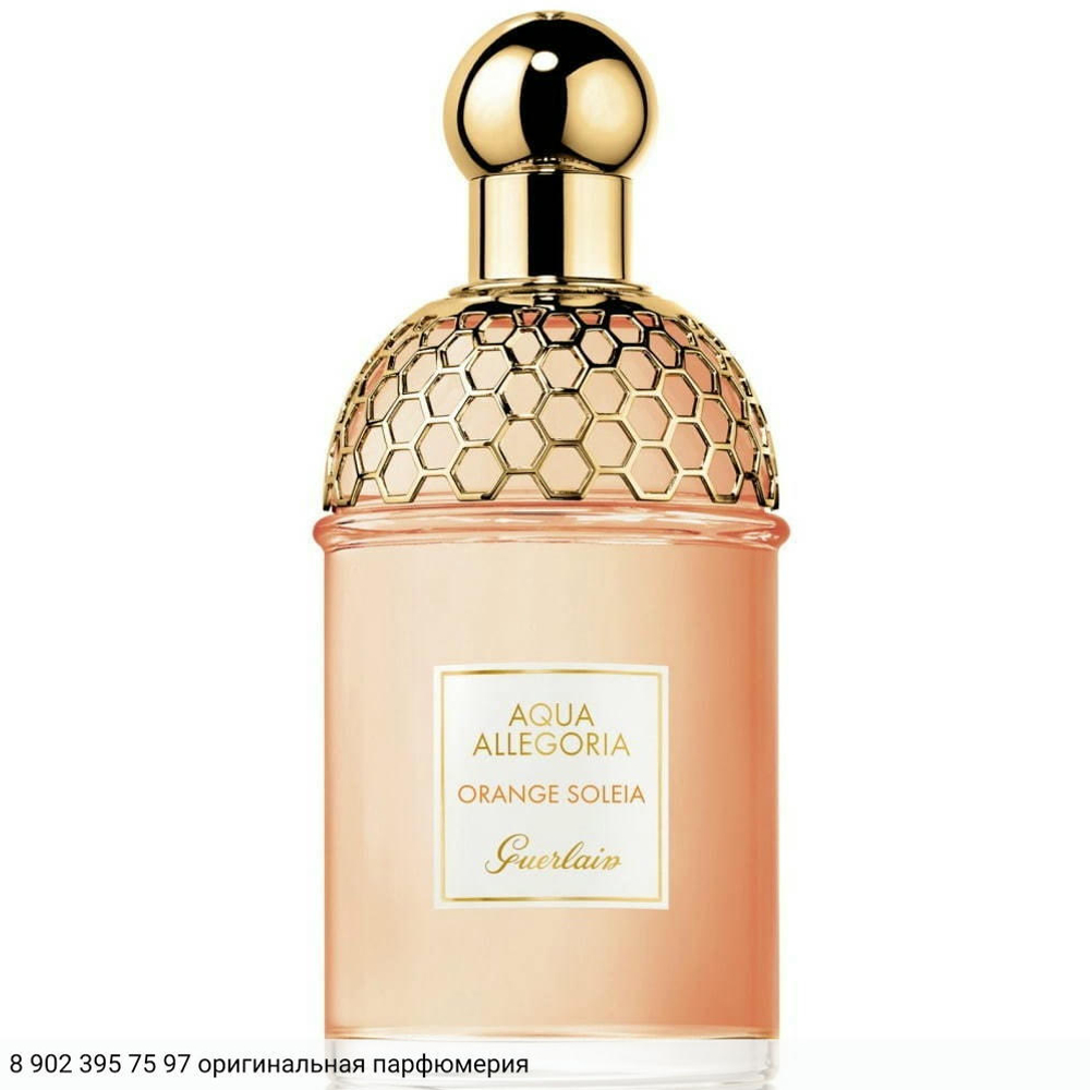 Aqua Allegoria Orange Soleia