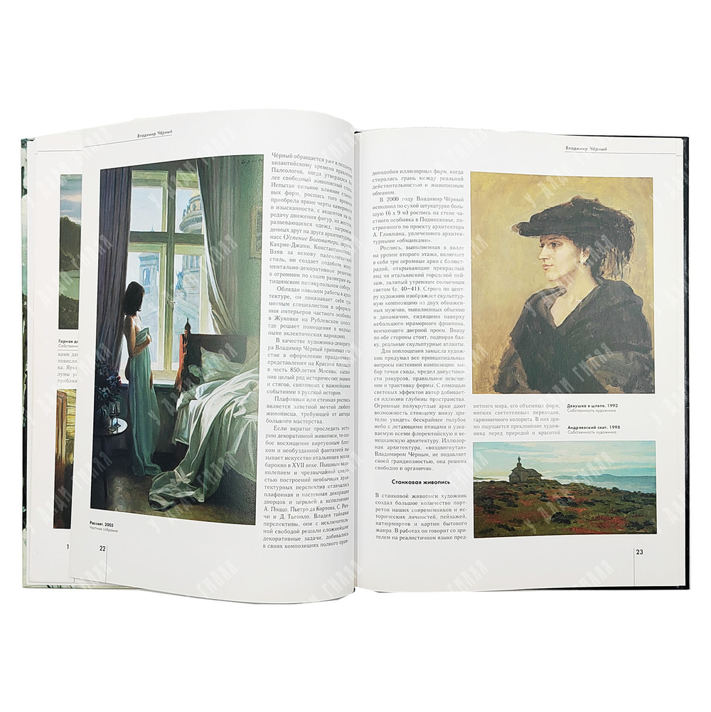 Доронина Л. Владимир Черный. — М.: Белый город. 2005