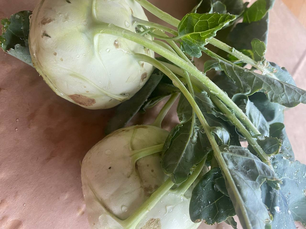 Капуста Кольраби зелёная
