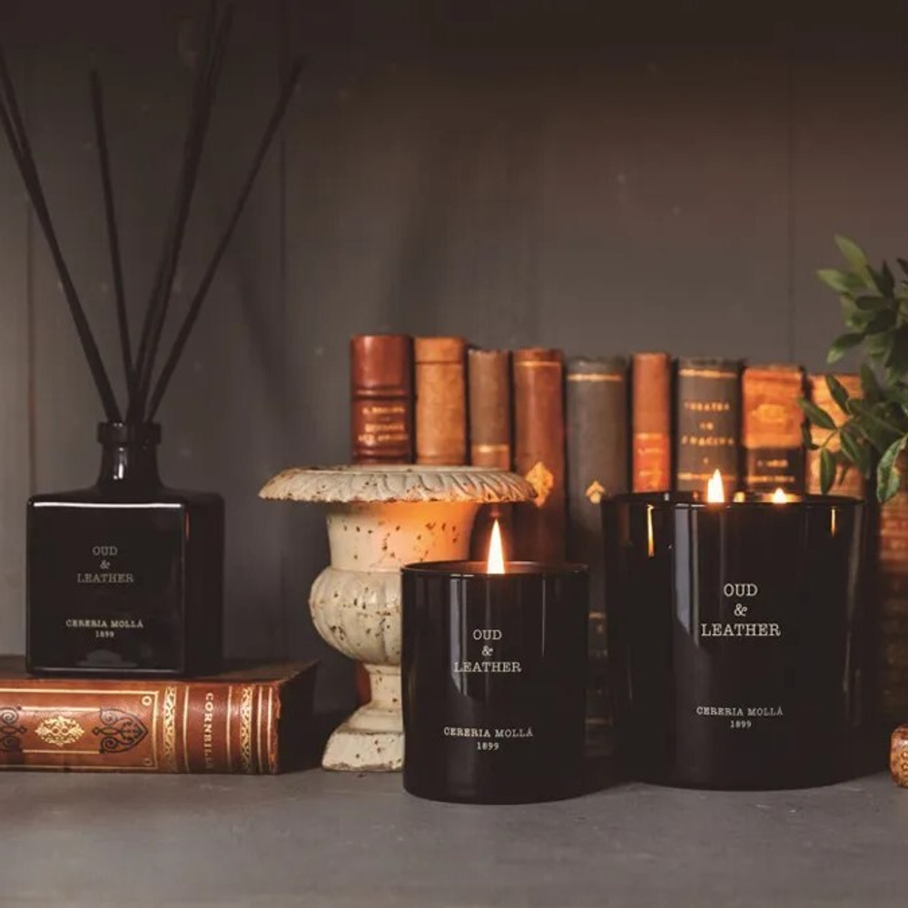 Диффузор CERERIA MOLLA Oud & Leather / Уд и кожа 100 мл