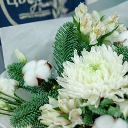 Нобилис с одноголовой хризантемой и хлопком