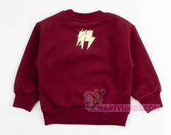 теплый костюм GC AHOLIDAY  плис  4863