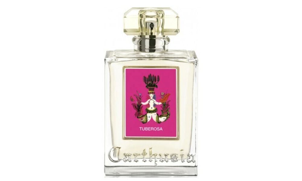 Carthusian Tuberose
