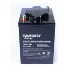Тяговая аккумуляторная батарея EVEREST TNE 6-245