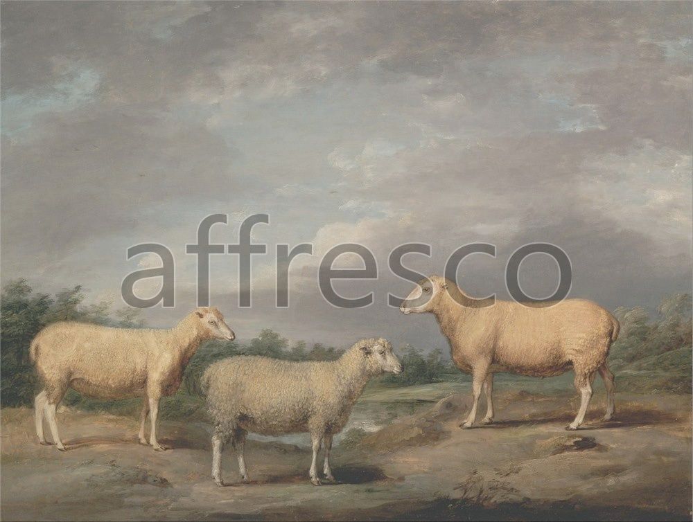 Фреска James Ward, Ryelands Sheep the Kings Ram the Kings Ewe and Lord Somervilles Wether