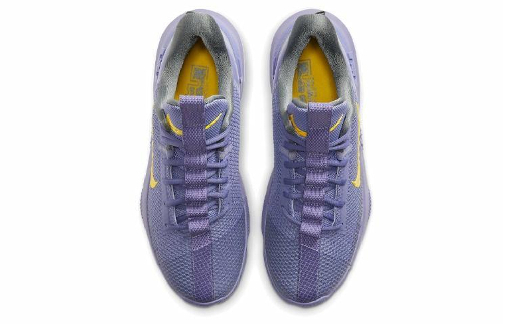 Кроссовки Nike Ambassador 13 Lebron Lakers 13
