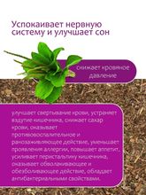 Подорожник