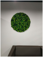 Круглое панно из стабилизированного мха, диаметр 60см