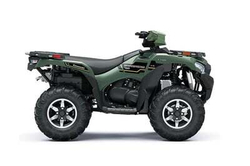 Квадроцикл Kawasaki Brute Force 750 LE EPS (2024) (ПСМ)