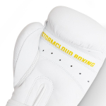 Боксерские перчатки StormCloud Boxing Pro белые